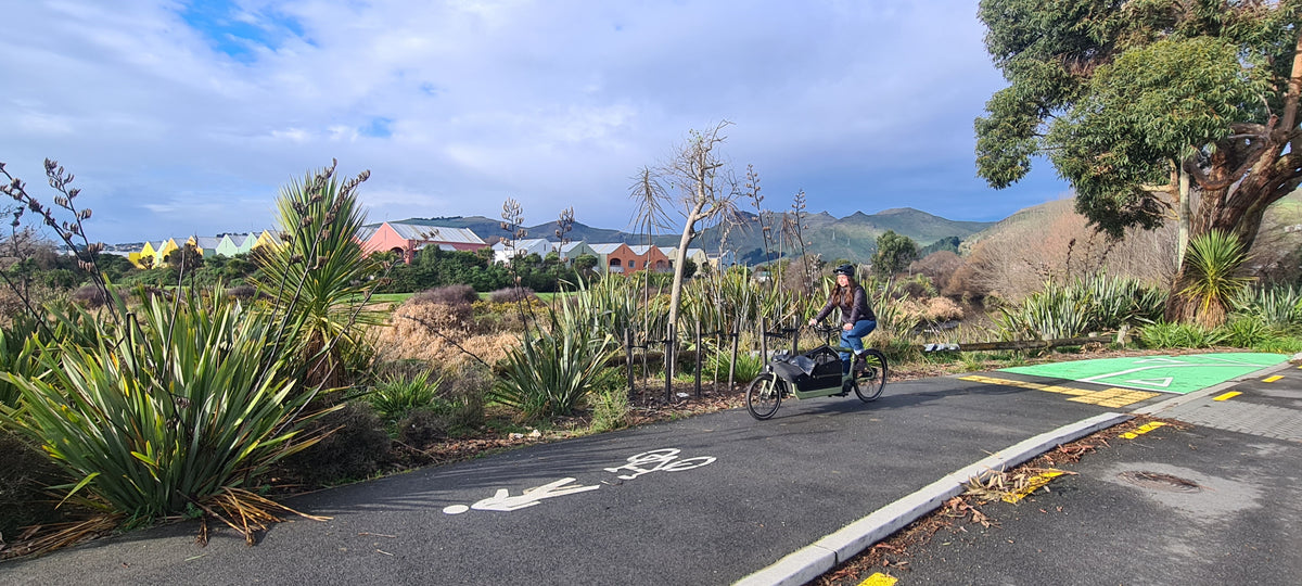 Cargo Bike Commuting in Christchurch Christchurch Electric Bicycles