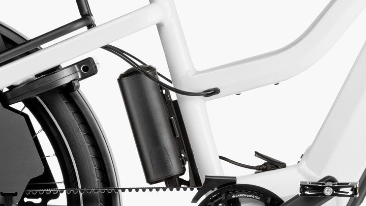 Riese and Muller Multicharger3 Mixte