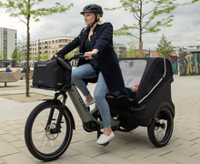 Load image into Gallery viewer, Cube Trike Family Hybrid 750