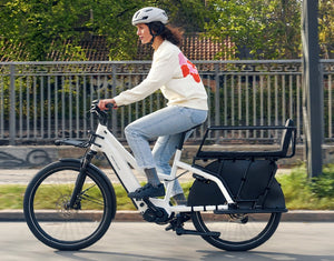 Riese and Muller Multicharger3 Mixte Family