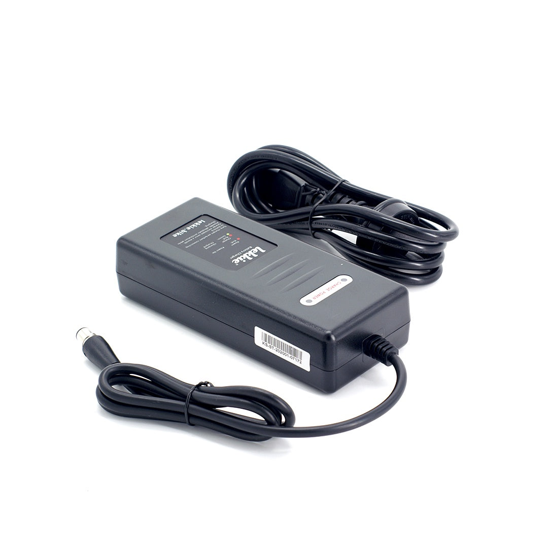 Converted 36V 3-Pin Charger (2 Amp)