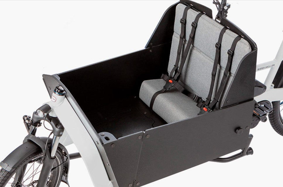 Riese and Muller Transporter2 65