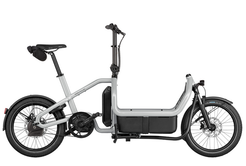 Riese and Muller Carrie2 Automatic