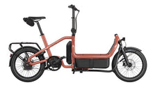 Load image into Gallery viewer, Riese and Muller Carrie2 Automatic - Coral