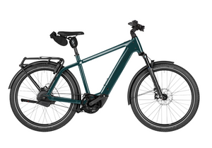 Riese and Muller Charger5
