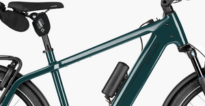 Riese and Muller Charger5