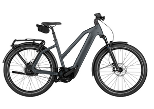 Riese and Muller Charger5 Mixte Core