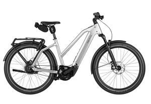 Riese and Muller Charger5 Mixte