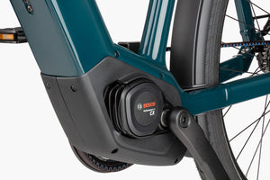 Riese and Muller Charger5