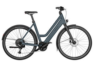 Riese and Muller Culture Mixte