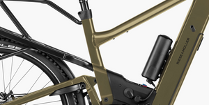 Riese and Muller Delite5