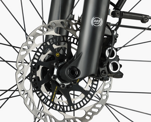 Riese and Muller Load5 60