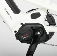 Load image into Gallery viewer, Yuba Mini Boda Boda