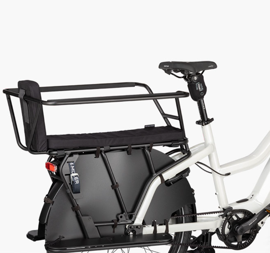 Riese and Muller Multicharger3 Mixte Family