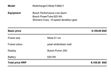 Load image into Gallery viewer, Riese and Muller Multicharger3 Mixte Family