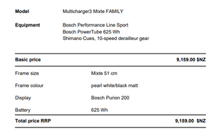 Riese and Muller Multicharger3 Mixte Family