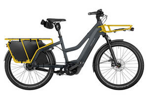 Riese and Muller Multicharger3 Mixte
