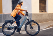 Load image into Gallery viewer, Riese and Muller Nevo5