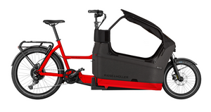 Riese and Muller Packster2 70 Family