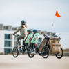 Thule Yepp Nexxt 2 Maxi