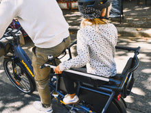 Load image into Gallery viewer, Yuba EZ Monkey Bars Compact