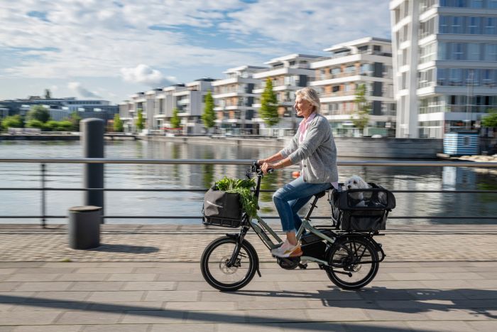 PBTNHSD272 6